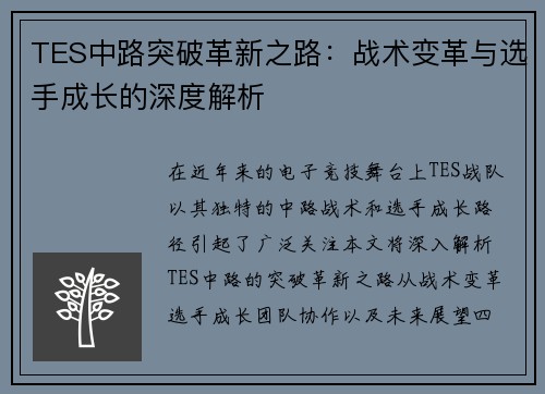 TES中路突破革新之路：战术变革与选手成长的深度解析